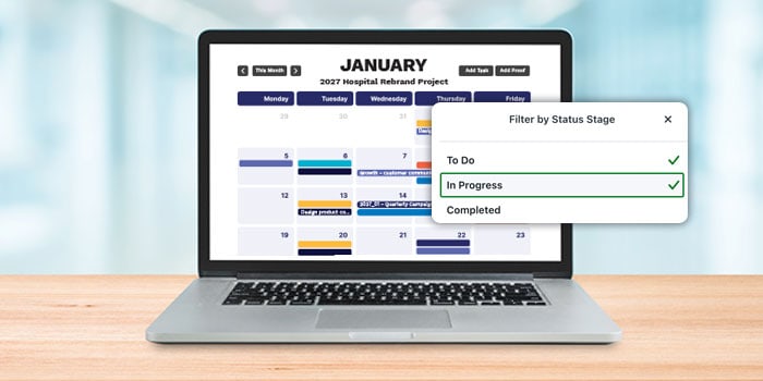 Lytho project plan for healthcare shown on computer screen