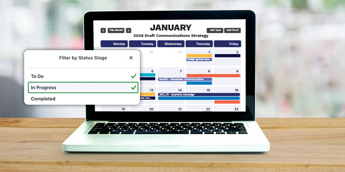 Sports project in Lytho calendar view